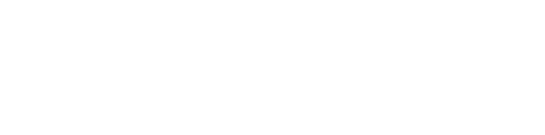 Pathwit Logo 白色版